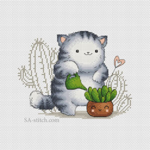 Кот Пирожок и суккуленты