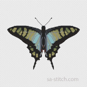 Метелик Graphium Сloanthus