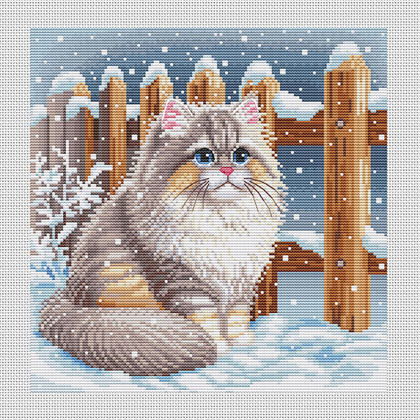 Котик Котик